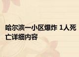 哈爾濱一小區(qū)爆炸 1人死亡詳細(xì)內(nèi)容