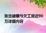 張?zhí)m被曝虧欠工資近90萬詳細內(nèi)容