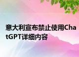 意大利宣布禁止使用ChatGPT詳細(xì)內(nèi)容
