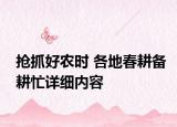 搶抓好農(nóng)時 各地春耕備耕忙詳細內(nèi)容