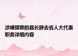 涉嫌猥褻的縣長辭去省人大代表職務(wù)詳細內(nèi)容
