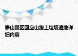 泰山景區(qū)回應(yīng)山路上垃圾遍地詳細(xì)內(nèi)容
