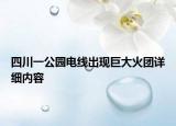 四川一公園電線出現(xiàn)巨大火團(tuán)詳細(xì)內(nèi)容