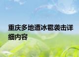 重慶多地遭冰雹襲擊詳細(xì)內(nèi)容