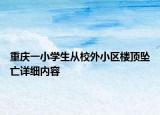 重慶一小學(xué)生從校外小區(qū)樓頂墜亡詳細(xì)內(nèi)容