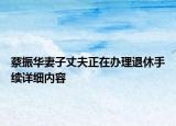 蔡振華妻子丈夫正在辦理退休手續(xù)詳細(xì)內(nèi)容