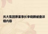 光大集團(tuán)原董事長李曉鵬被查詳細(xì)內(nèi)容