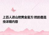 上百人進(jìn)山挖黃金官方:挖的是昆蟲詳細(xì)內(nèi)容