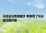 馬克龍與黃渤握手 黃渤秀了句法語詳細(xì)內(nèi)容
