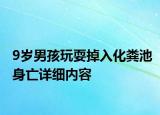 9歲男孩玩耍掉入化糞池身亡詳細(xì)內(nèi)容