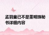 孟羽童已不是董明珠秘書詳細內容