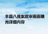 豐縣八孩案庭審畫面曝光詳細(xì)內(nèi)容