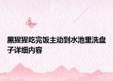 黑猩猩吃完飯主動(dòng)到水池里洗盤子詳細(xì)內(nèi)容