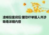 凌婭投案背后:曾恐嚇舉報(bào)人并涉吸毒詳細(xì)內(nèi)容