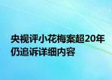央視評小花梅案超20年仍追訴詳細內(nèi)容