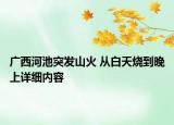 廣西河池突發(fā)山火 從白天燒到晚上詳細(xì)內(nèi)容