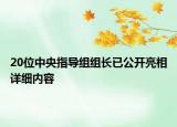 20位中央指導(dǎo)組組長(zhǎng)已公開(kāi)亮相詳細(xì)內(nèi)容
