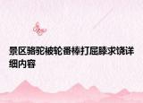 景區(qū)駱駝被輪番棒打屈膝求饒詳細內(nèi)容