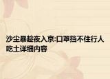 沙塵暴趁夜入京:口罩擋不住行人吃土詳細內容