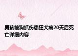 男孩被狗抓傷患狂犬病20天后死亡詳細內(nèi)容