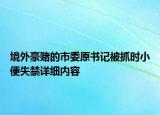 境外豪賭的市委原書記被抓時小便失禁詳細內容