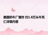 美國奶牛廠爆炸 約1.8萬頭牛死亡詳細內容
