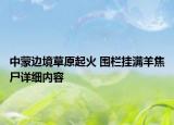 中蒙邊境草原起火 圍欄掛滿羊焦尸詳細(xì)內(nèi)容