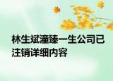 林生斌潼臻一生公司已注銷詳細(xì)內(nèi)容