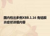 國內(nèi)檢出多例XBB.1.16 有結(jié)膜炎癥狀詳細(xì)內(nèi)容