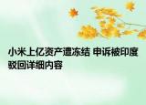 小米上億資產(chǎn)遭凍結(jié) 申訴被印度駁回詳細內(nèi)容