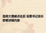昆明大理被點名后 省委書記省長部署詳細內容