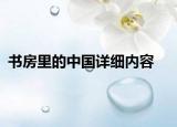 書(shū)房里的中國(guó)詳細(xì)內(nèi)容