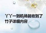 丫丫一到機場就收到了竹子詳細內(nèi)容