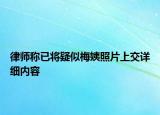 律師稱已將疑似梅姨照片上交詳細內(nèi)容