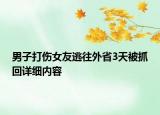 男子打傷女友逃往外省3天被抓回詳細(xì)內(nèi)容