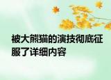 被大熊貓的演技徹底征服了詳細(xì)內(nèi)容