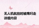 無人機航拍時被鷹叼走詳細內容