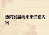 協(xié)同發(fā)展向未來(lái)詳細(xì)內(nèi)容