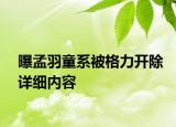 曝孟羽童系被格力開(kāi)除詳細(xì)內(nèi)容