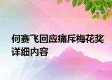 何賽飛回應(yīng)痛斥梅花獎(jiǎng)詳細(xì)內(nèi)容