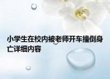 小學生在校內(nèi)被老師開車撞倒身亡詳細內(nèi)容