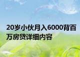 20歲小伙月入6000背百萬(wàn)房貸詳細(xì)內(nèi)容