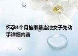 懷孕4個月被家暴當?shù)嘏酉葎邮衷敿殐?nèi)容