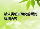 被人類幼崽萌化的瞬間詳細內(nèi)容