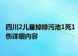 四川2兒童掉排污池1死1傷詳細內(nèi)容