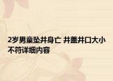 2歲男童墜井身亡 井蓋井口大小不符詳細內容