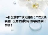 cn什么意思二次元用語（二次元?dú)④浭鞘裁匆馑假N吧用語純純殺軟什么梗）