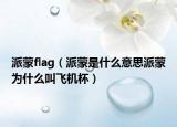 派蒙flag（派蒙是什么意思派蒙為什么叫飛機杯）
