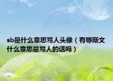 sb是什么意思罵人頭像（有辱斯文什么意思是罵人的話嗎）