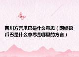 四川方言爪巴是什么意思（網(wǎng)絡(luò)語(yǔ)爪巴是什么意思是哪里的方言）